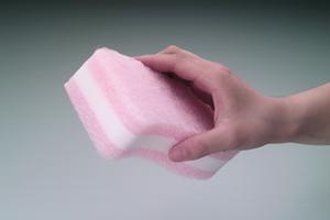 福岡の剪定サービス徹底ガイド2025！最適な剪定で美しい庭を実現